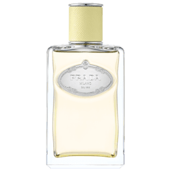 Prada prada prada infusion de gingembre eau de parfum